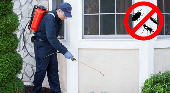 Çankaya Böcek ve Haşere İlaçlama böcek ilaçlama ve haşere kontrolü — ilaclama-tr.com